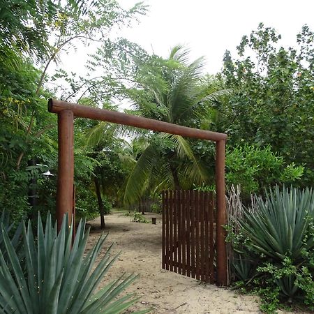 圣米格尔-杜戈斯托苏 Jungle House酒店 外观 照片