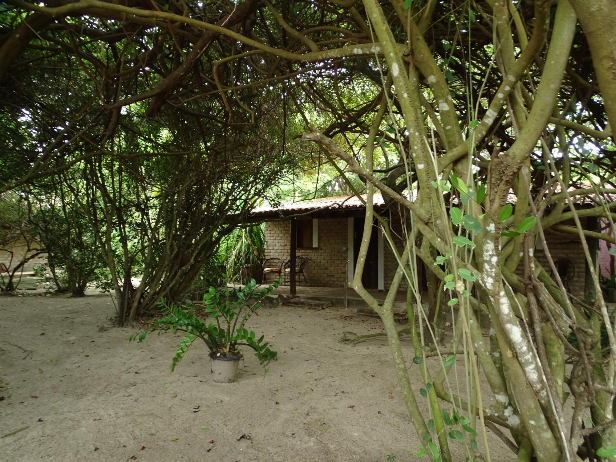 圣米格尔-杜戈斯托苏 Jungle House酒店 外观 照片