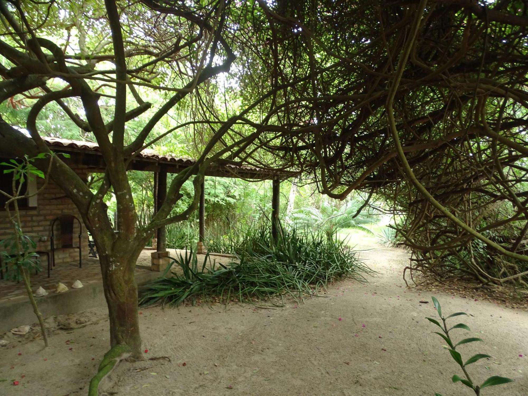 圣米格尔-杜戈斯托苏 Jungle House酒店 外观 照片