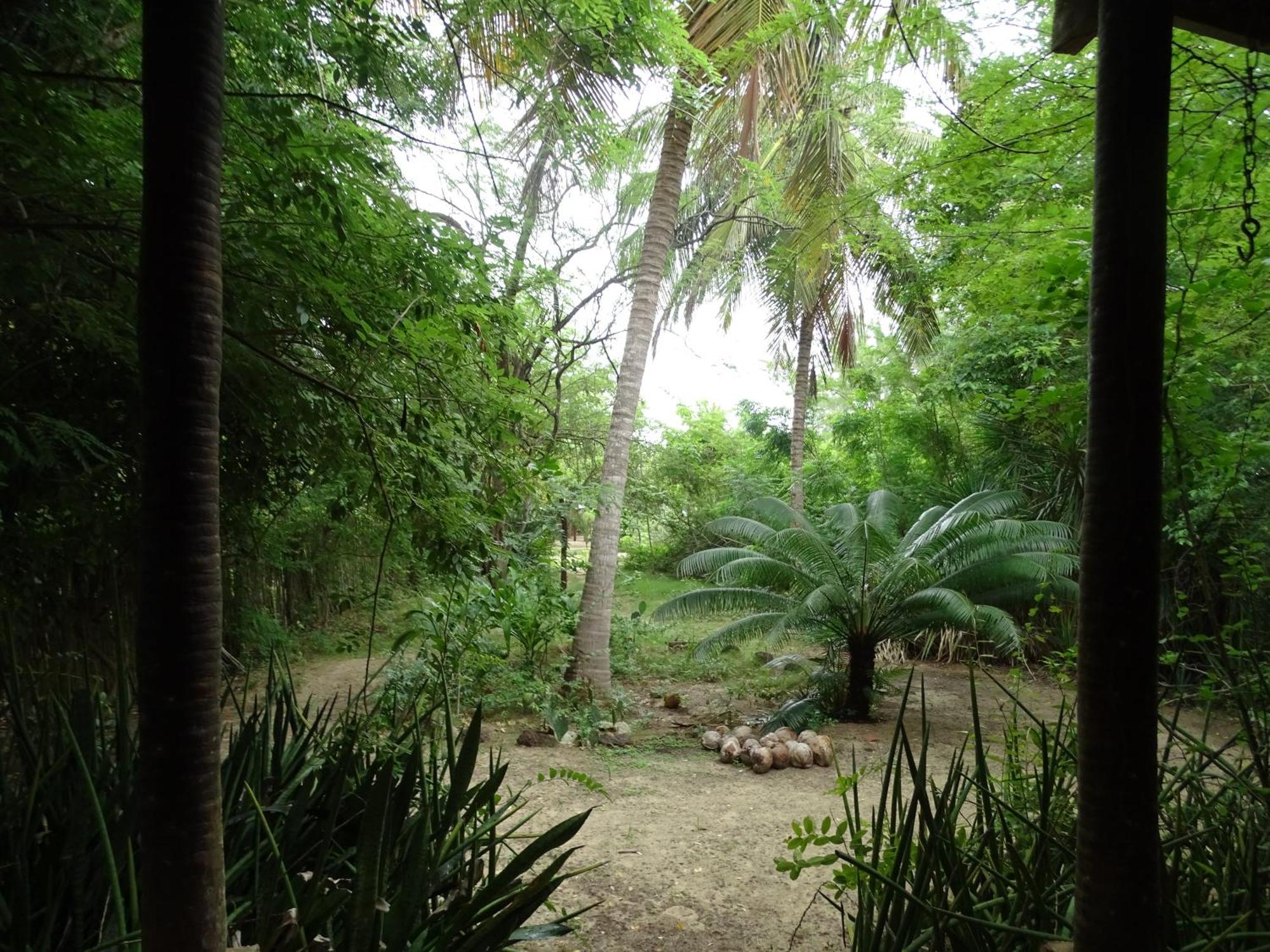 圣米格尔-杜戈斯托苏 Jungle House酒店 外观 照片